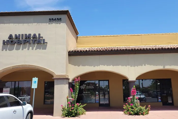 Pinnacle Peak Animal Hospital Picture 7