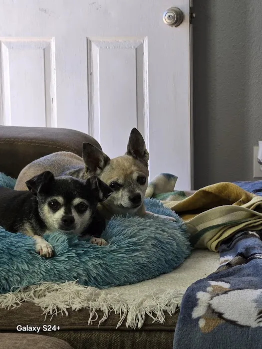 Sonoran Foothills Pet Clinic Picture 5