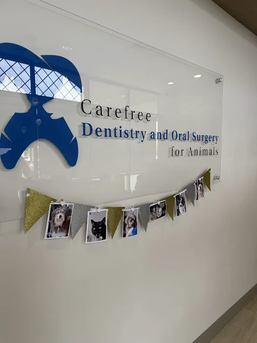 Carefree Dentistry and Oral Surgery for Animals Picture 9