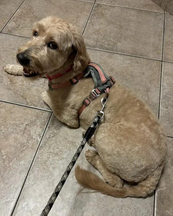 Vistancia Animal Hospital Picture 7