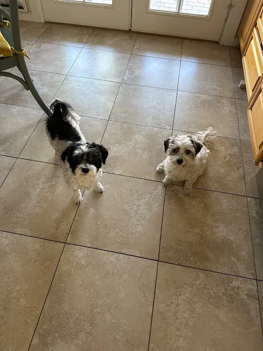 Sun Lakes Chandler Animal Clinic Picture 4