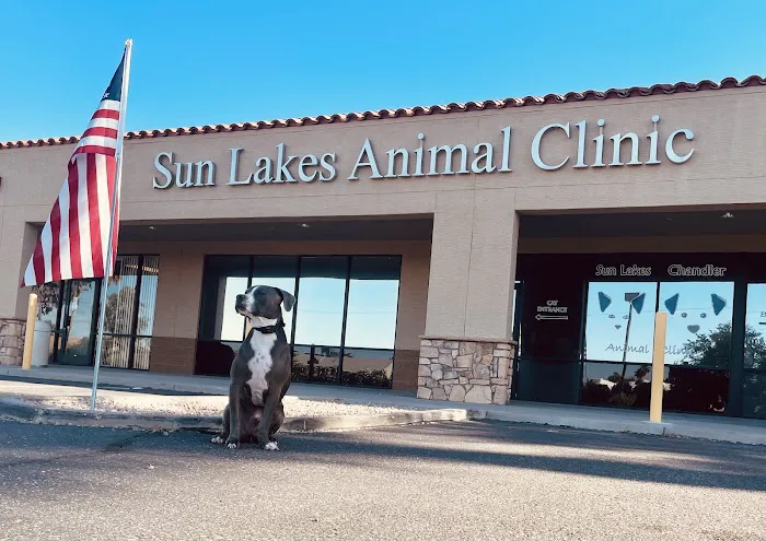 Sun Lakes Chandler Animal Clinic Picture 1