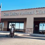 Sun Lakes Chandler Animal Clinic