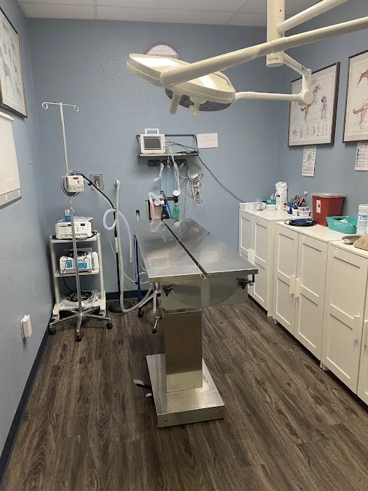 Sun Lakes Chandler Animal Clinic Picture 3