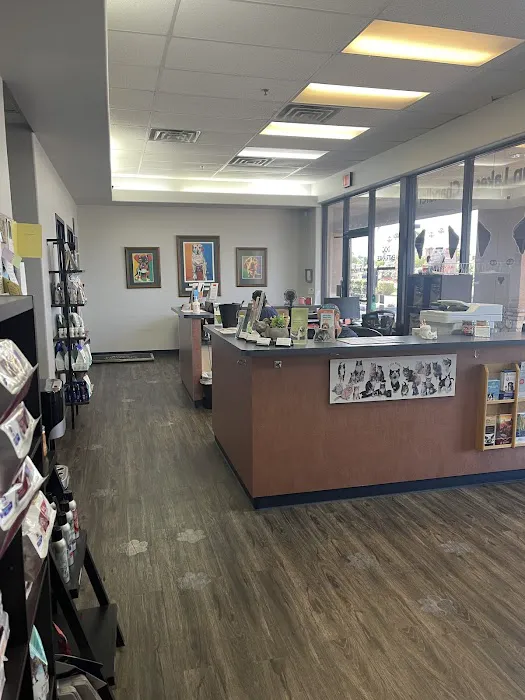 Sun Lakes Chandler Animal Clinic Picture 8