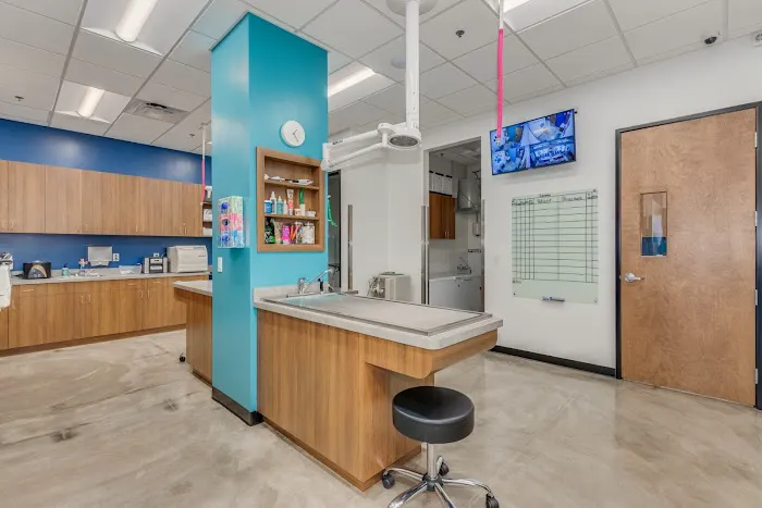 Trilogy Veterinary Medical Center Picture 4