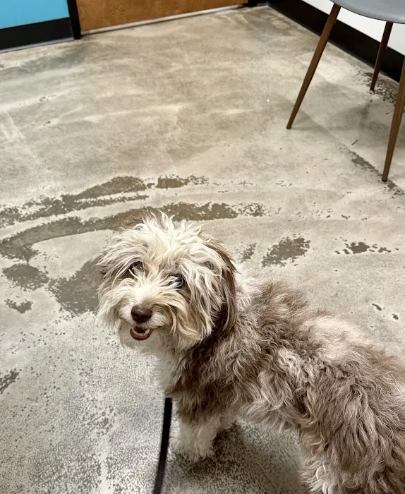 Trilogy Veterinary Medical Center Picture 6