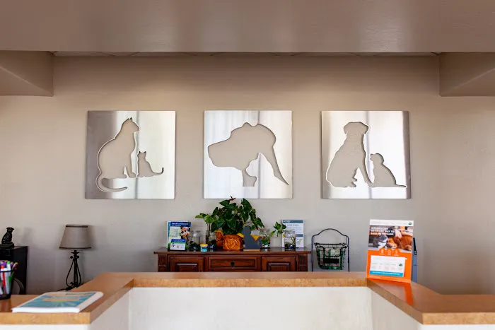 Chandler Gilbert Animal Hospital Picture 6