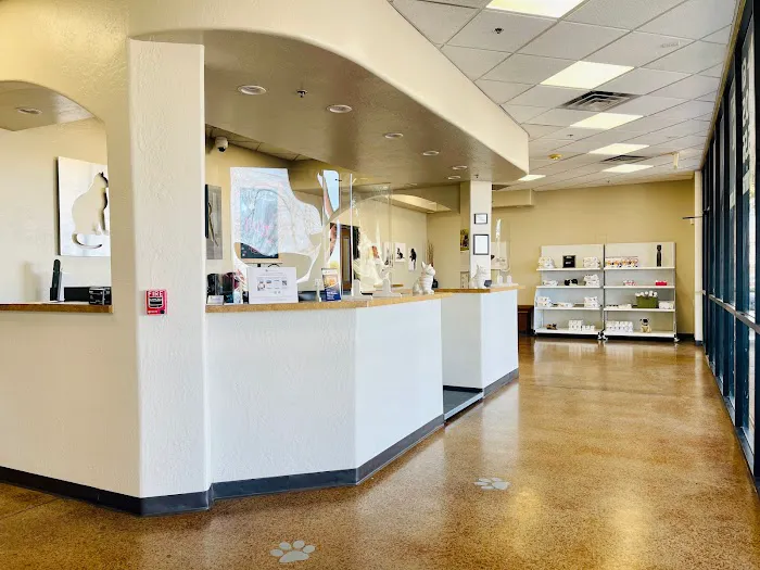 Chandler Gilbert Animal Hospital Picture 10