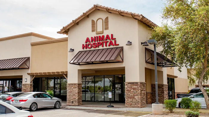 Chandler Gilbert Animal Hospital Picture 8