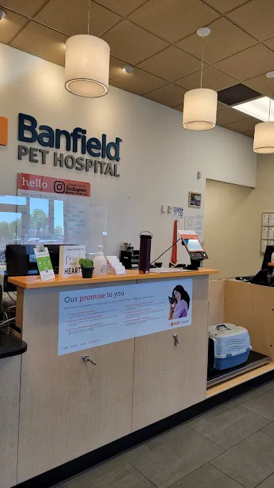 Banfield Pet Hospital Picture 9