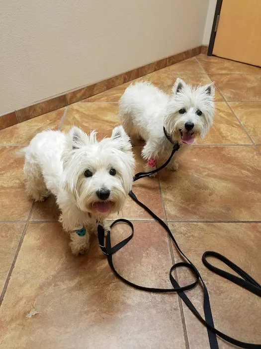 LifeCare Animal Hospital Picture 2