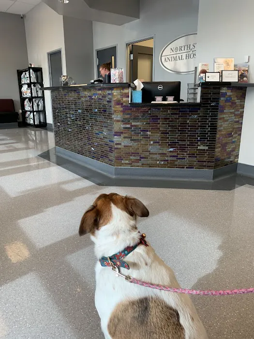 North Star Animal Hospital at Estrella, PLLC Picture 5