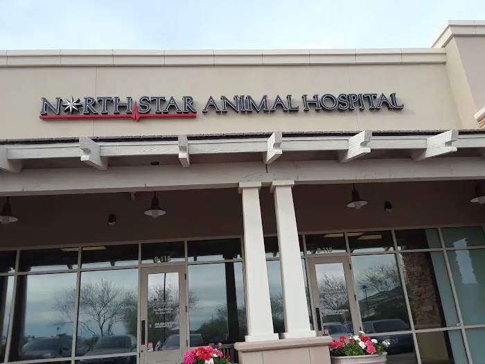 North Star Animal Hospital at Estrella, PLLC Picture 2