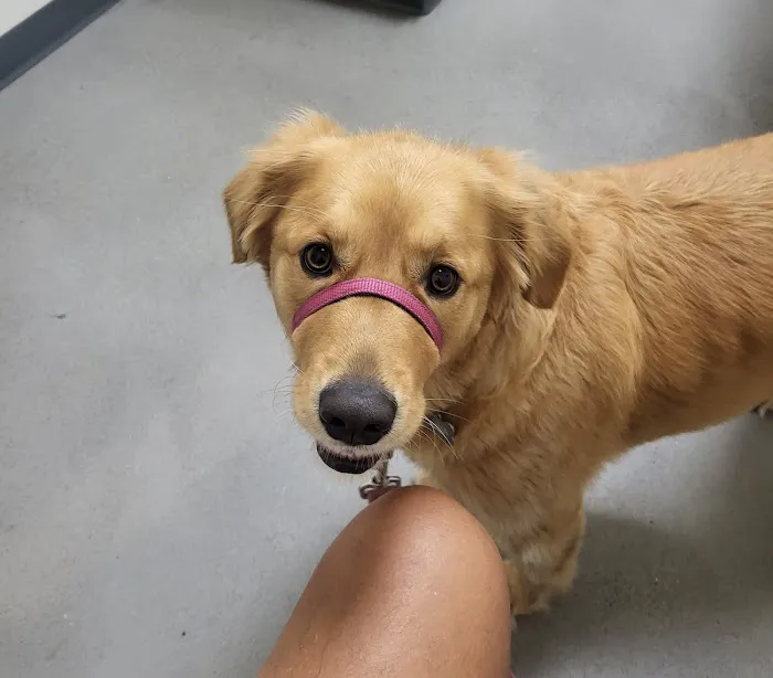 Vetco Total Care Animal Hospital Picture 10