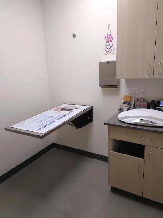Vetco Total Care Animal Hospital Picture 4