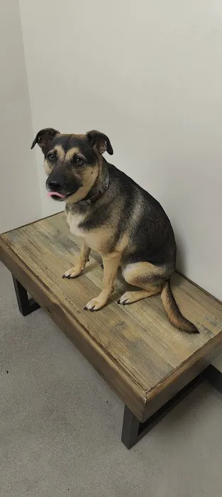 Petco Picture 1