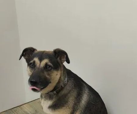 Petco