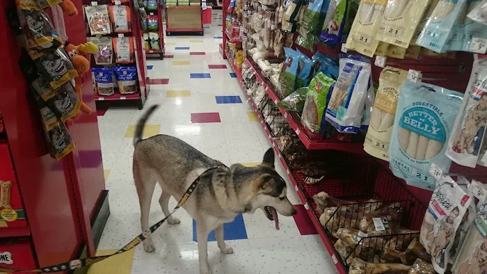 Petco Picture 4