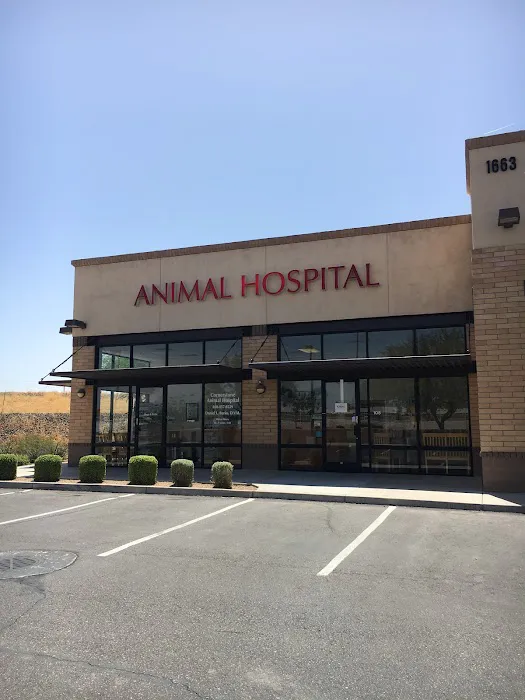 Cornerstone Animal Hospital Picture 3