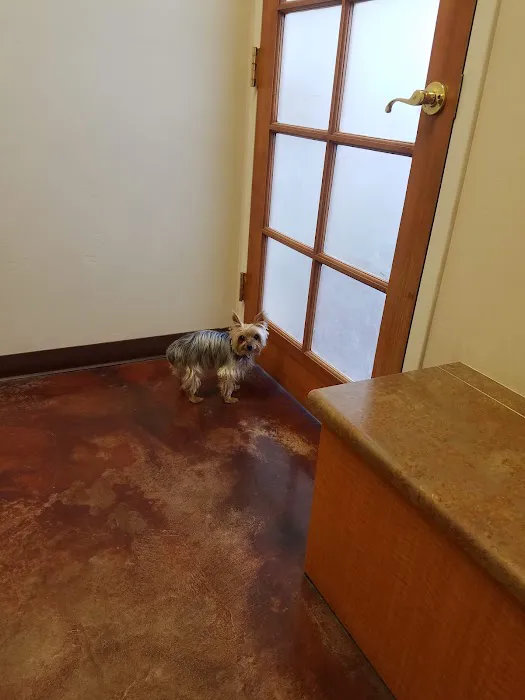Cornerstone Animal Hospital Picture 8