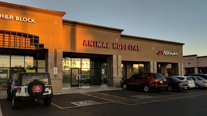 Warner Vista Animal Hospital Picture 7