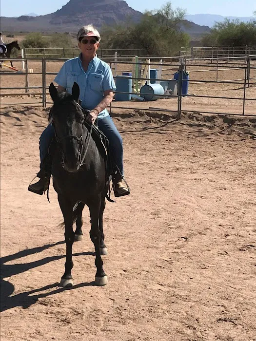 East Valley Equine Practitioners Picture 2