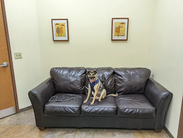 Priority Pet Hospital Picture 6