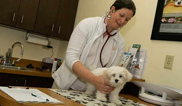 Priority Pet Hospital Picture 1