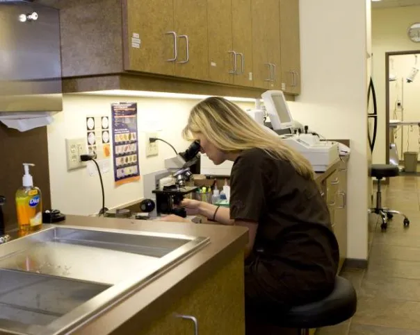 Priority Pet Hospital Picture 9