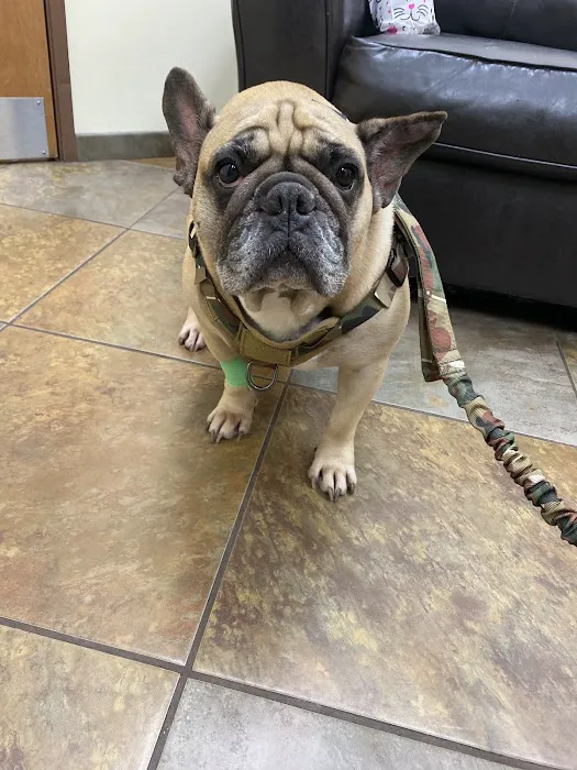 Priority Pet Hospital Picture 4