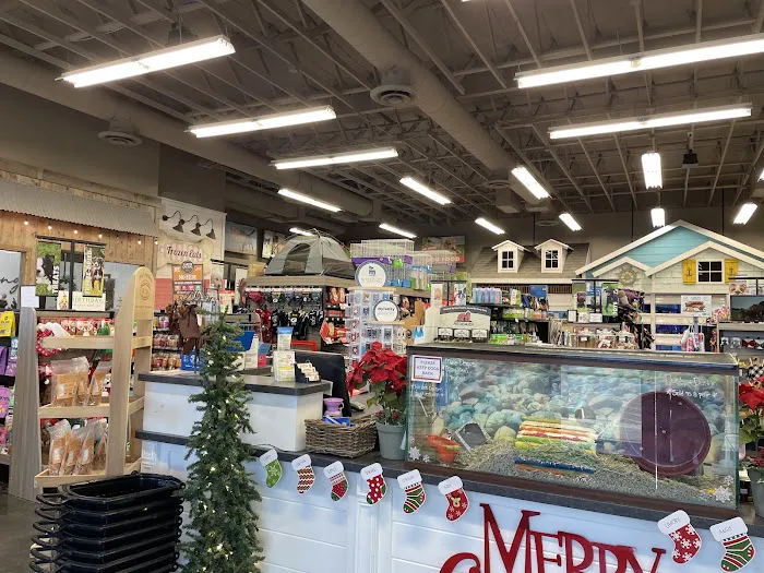Market Street PET DEPOT Picture 10