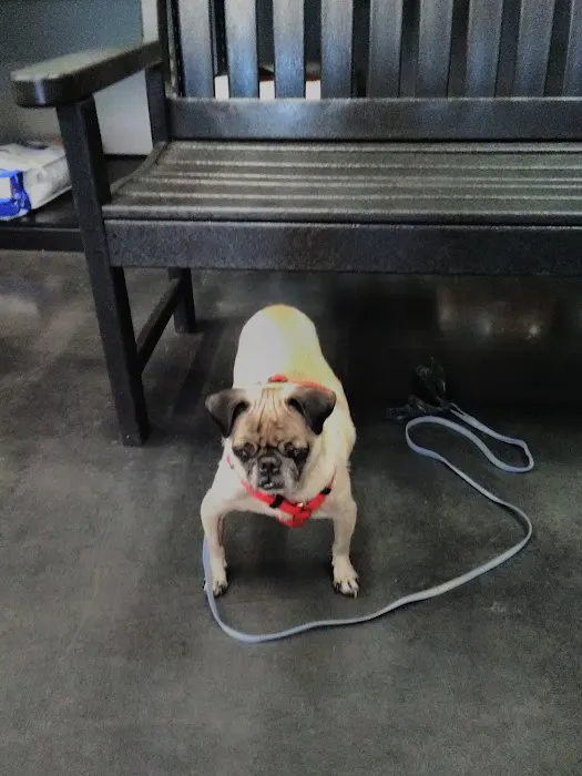 Market Street PET DEPOT Picture 9