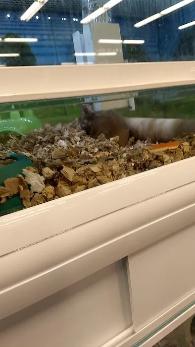 Market Street PET DEPOT Picture 7