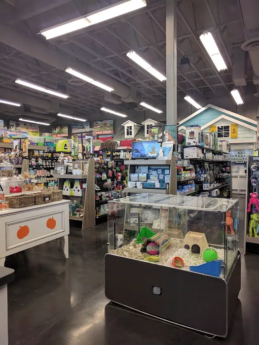 Market Street PET DEPOT Picture 8