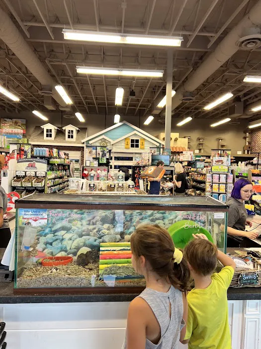 Market Street PET DEPOT Picture 1