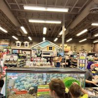 Market Street PET DEPOT ico