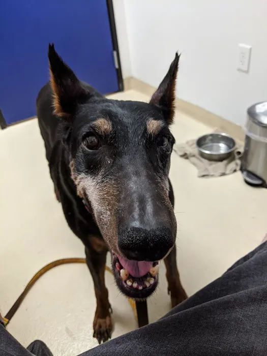 Follow Your Heart Animal Hospital Picture 9