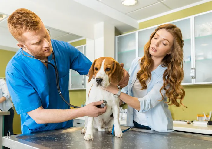Affordable Veterinary Clinic Picture 9