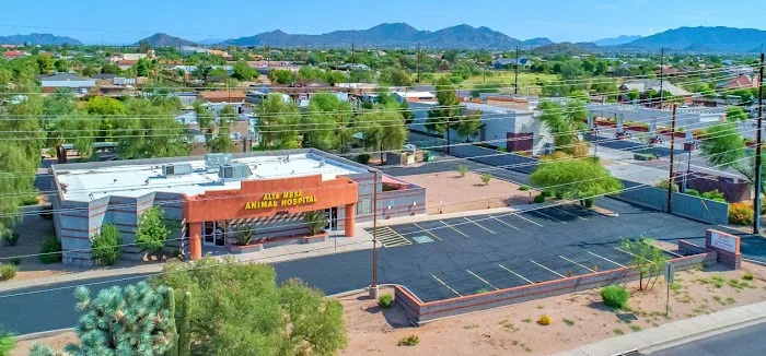 Alta Mesa Animal Hospital Picture 4