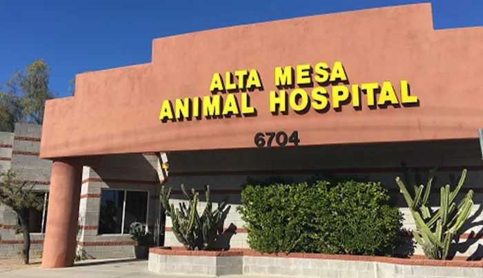 Alta Mesa Animal Hospital Picture 6