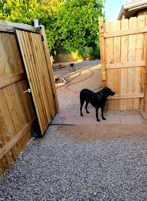 Alta Mesa Animal Hospital Picture 2