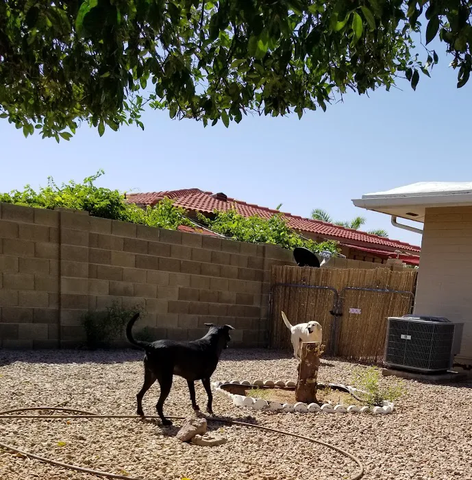 Alta Mesa Animal Hospital Picture 10