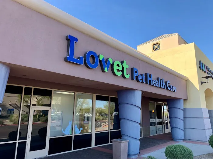 Lovet Pet Health Care - Las Sendas Picture 4