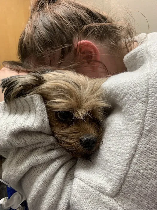 Lovet Pet Health Care - Las Sendas Picture 6