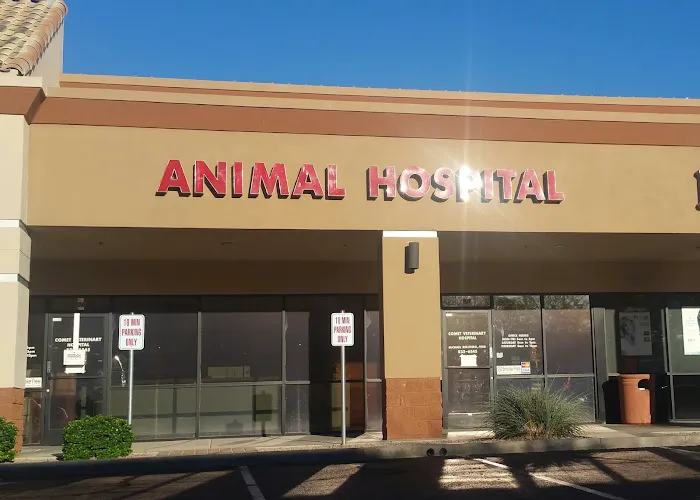Comet Veterinary Hospital Picture 5
