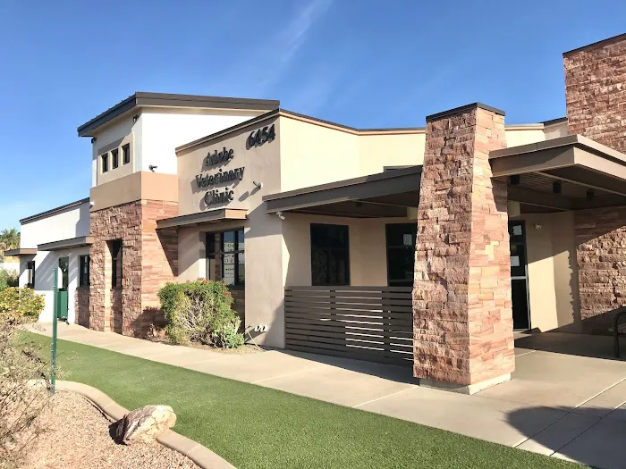 Adobe Veterinary Clinic Picture 3