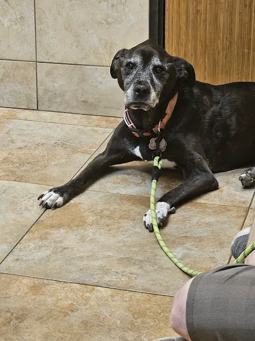 Adobe Veterinary Clinic Picture 9