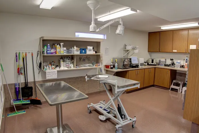 Adobe Veterinary Clinic Picture 1