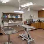 Adobe Veterinary Clinic